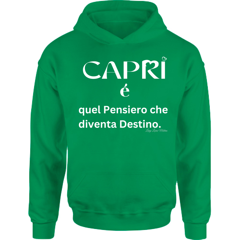Felpa Bambino con Cappuccio Capri quel Pensiero che diventa Destino scritta bi
