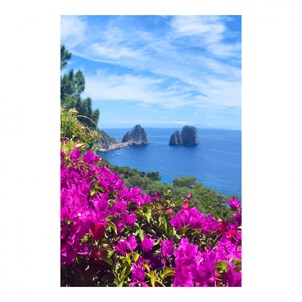 Capri Mediterranean Dream Canvas