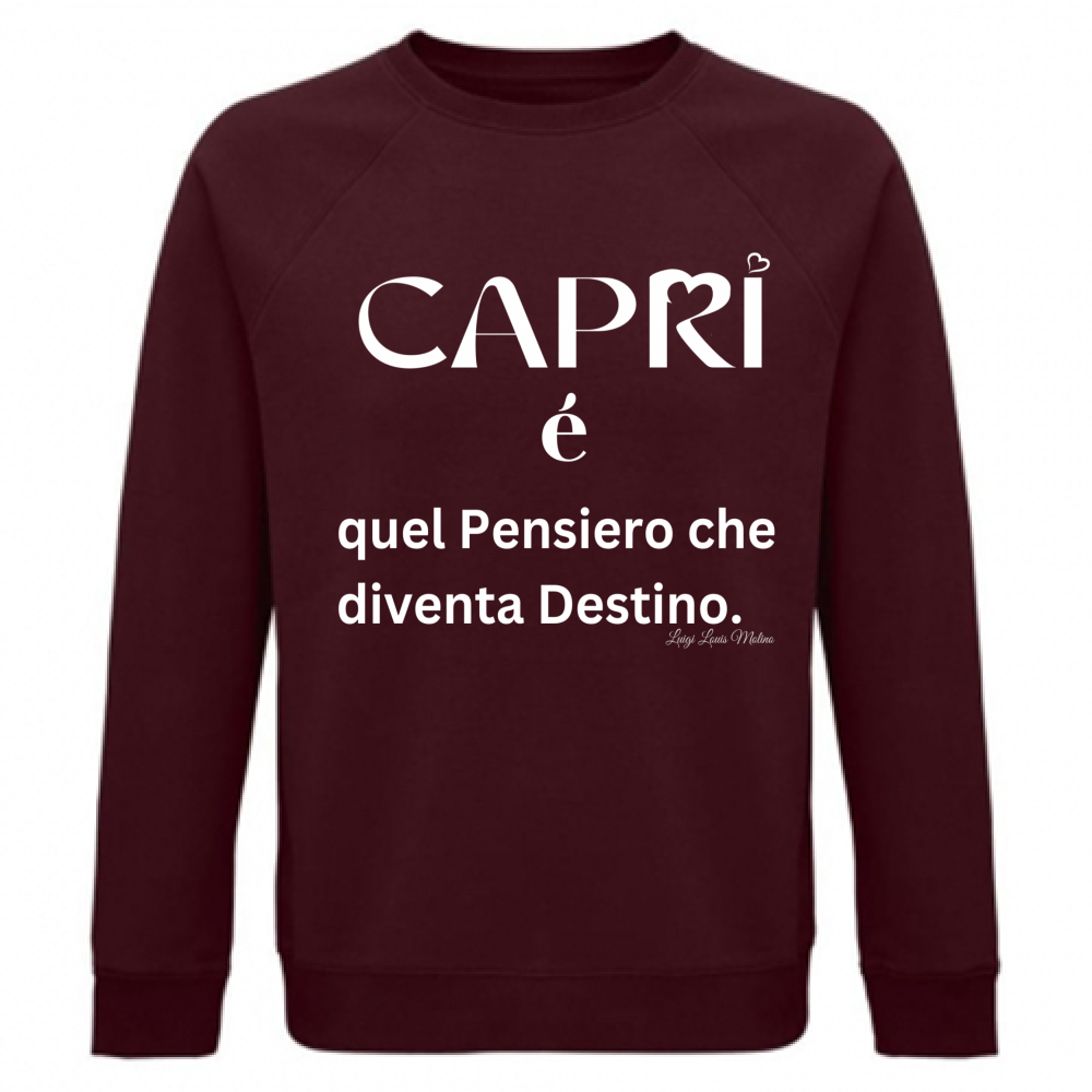 Felpa Unisex Organica Capri quel Pensiero che diventa Destino scritta bi