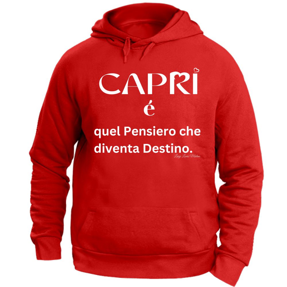 Felpa Unisex con Cappuccio Capri quel Pensiero che diventa Destino scritta bi