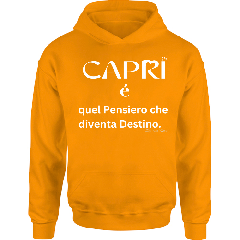 Felpa Bambino con Cappuccio Capri quel Pensiero che diventa Destino scritta bi