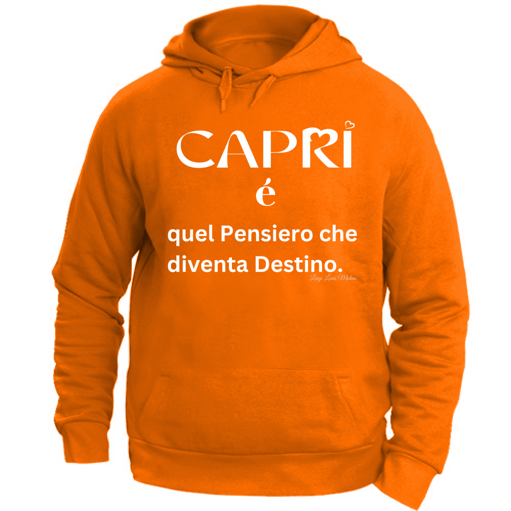 Felpa Unisex con Cappuccio Capri quel Pensiero che diventa Destino scritta bi
