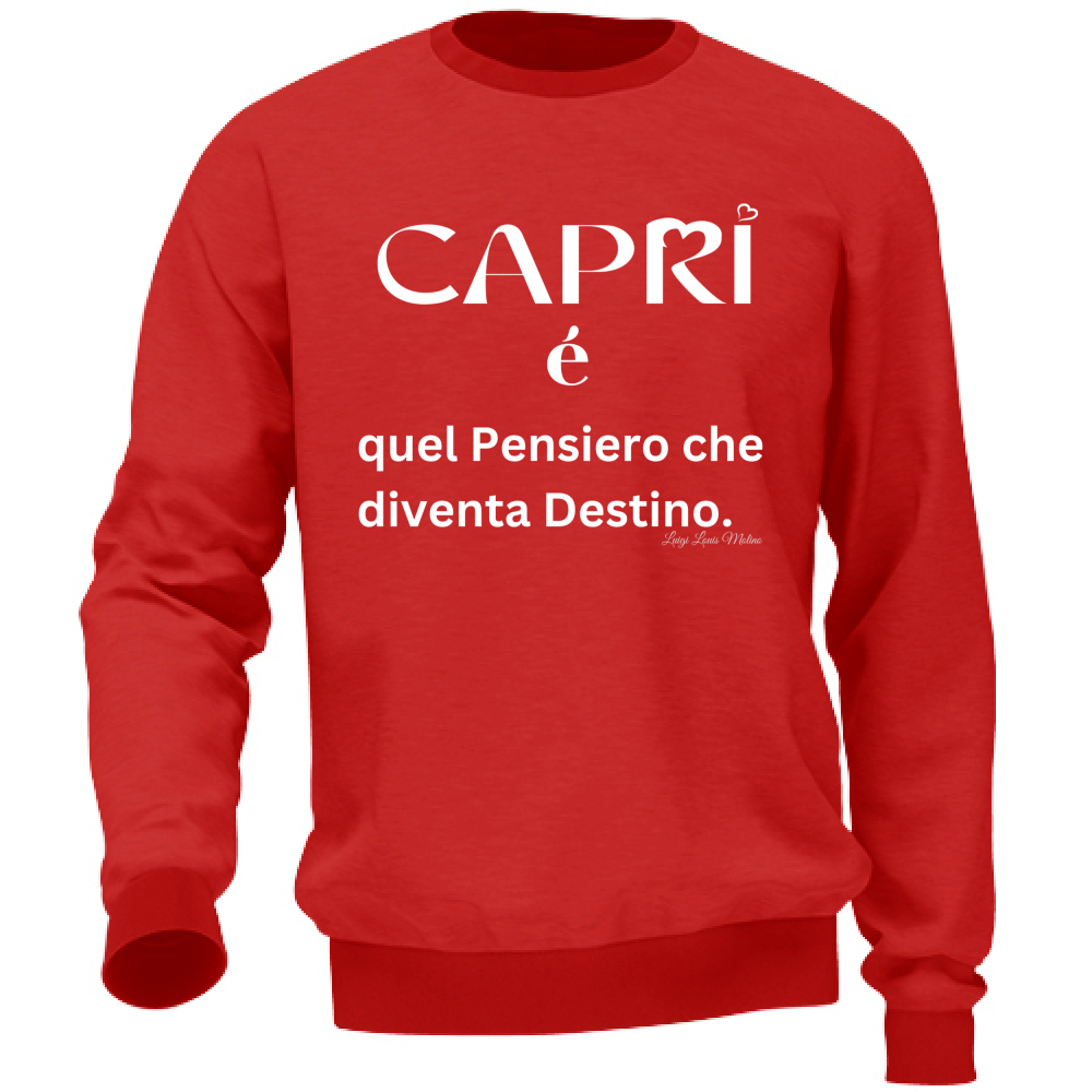 Felpa Unisex Capri quel Pensiero che diventa Destino scritta bi