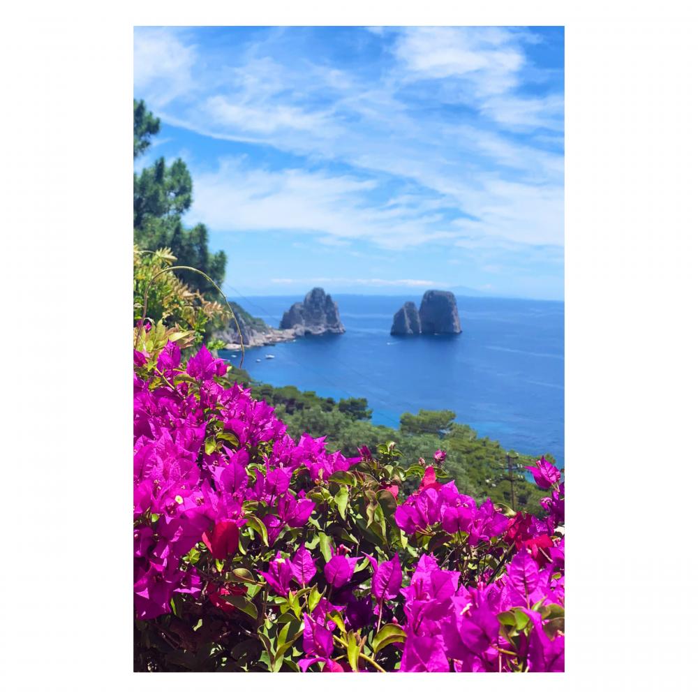 Capri Mediterranean Dream Canvas