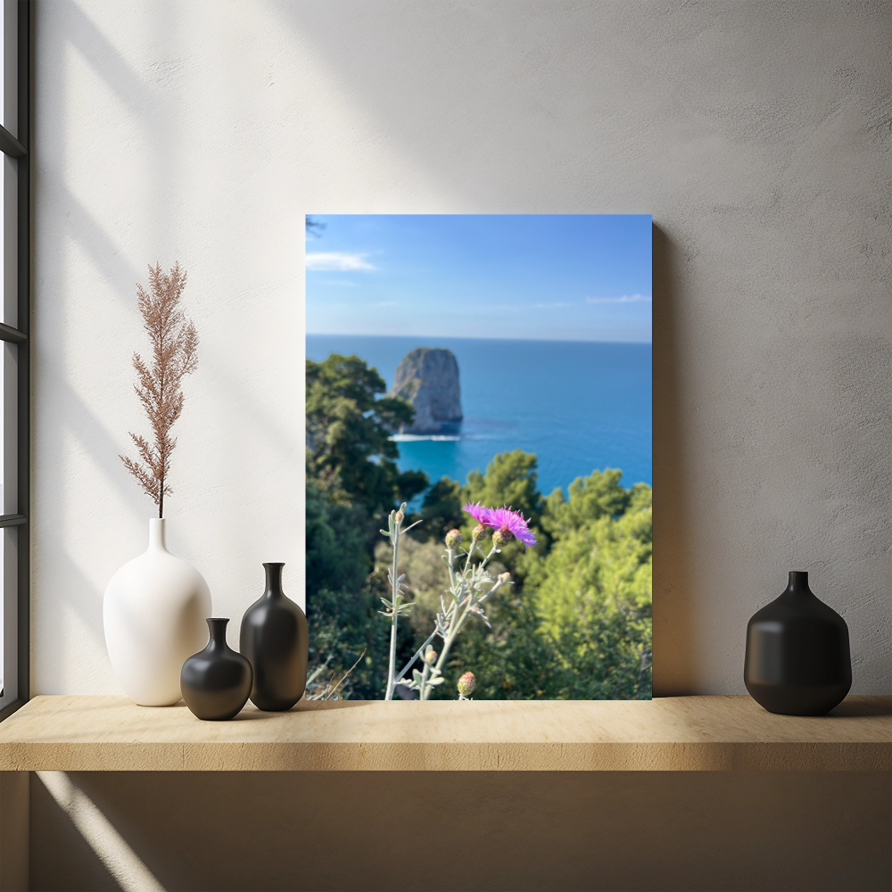 Canvas Faraglioni of Capri with Spring Flowers