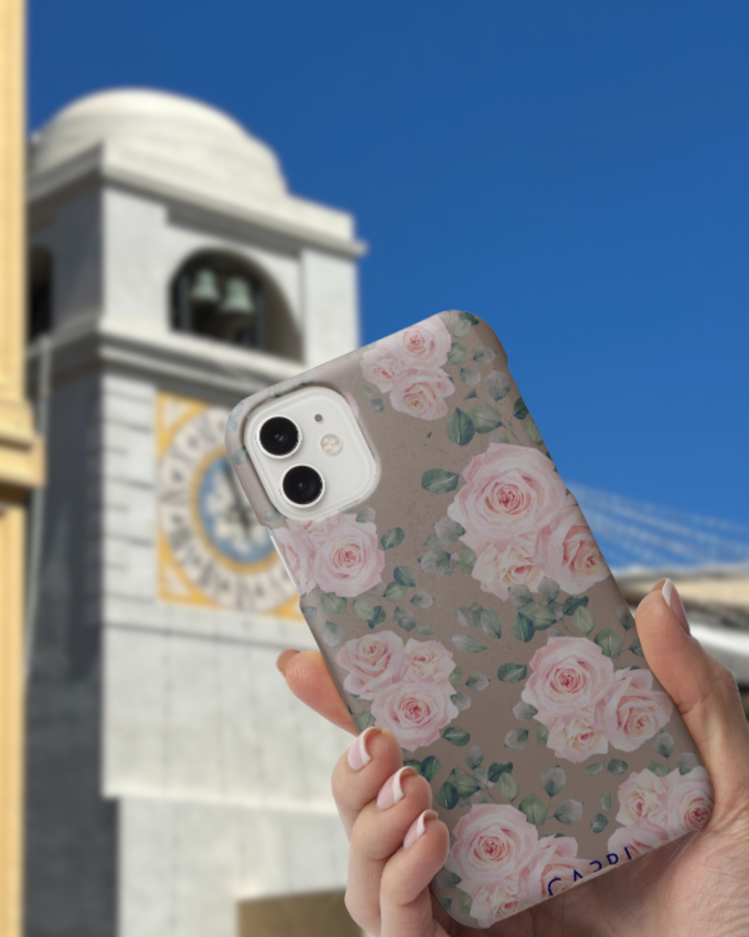 Rose di Teresa Capri