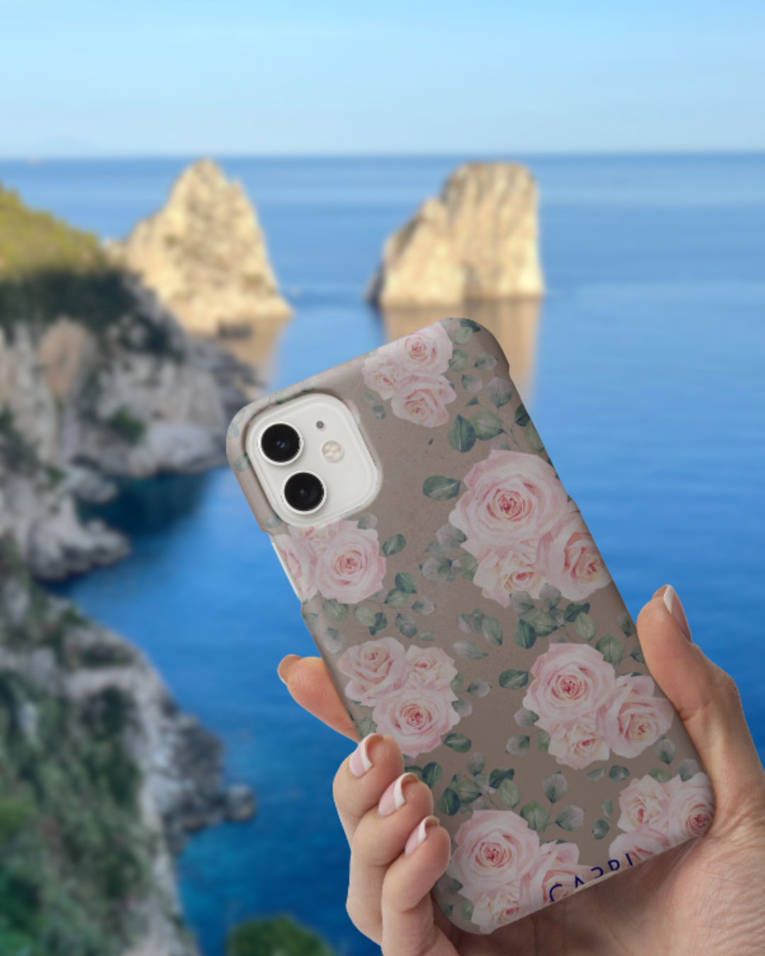 Rose di Teresa Capri