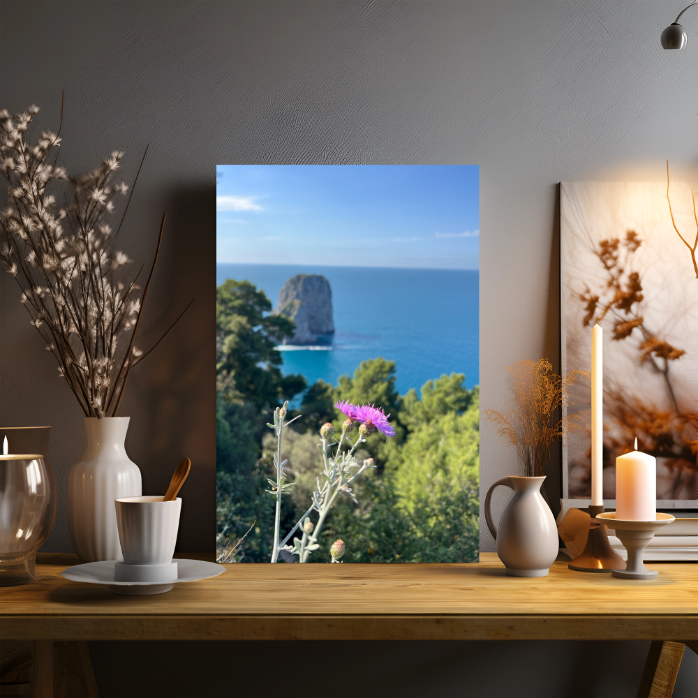 Canvas Faraglioni of Capri with Spring Flowers