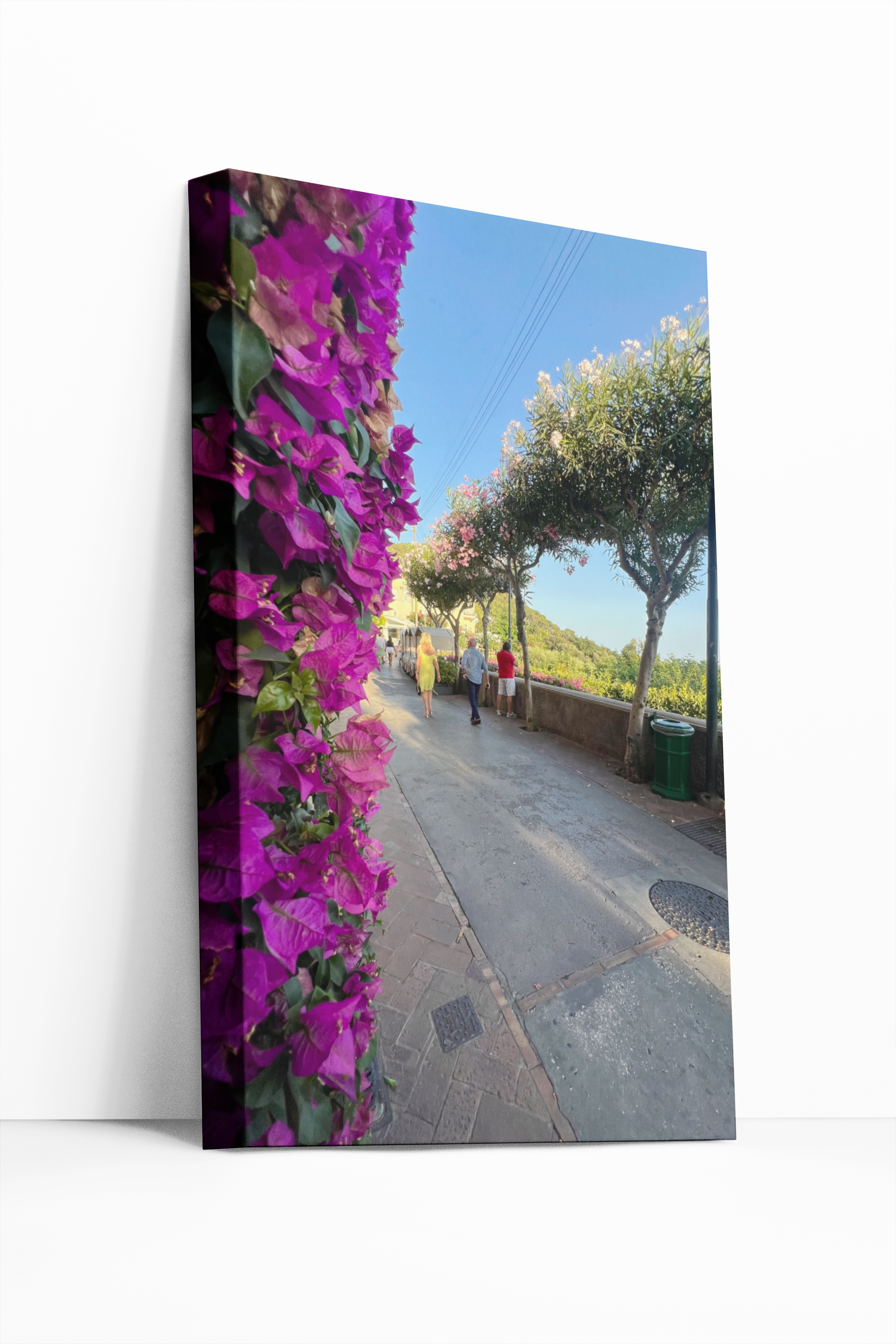 Canvas Via Camerelle Blooming with Bougainvillea