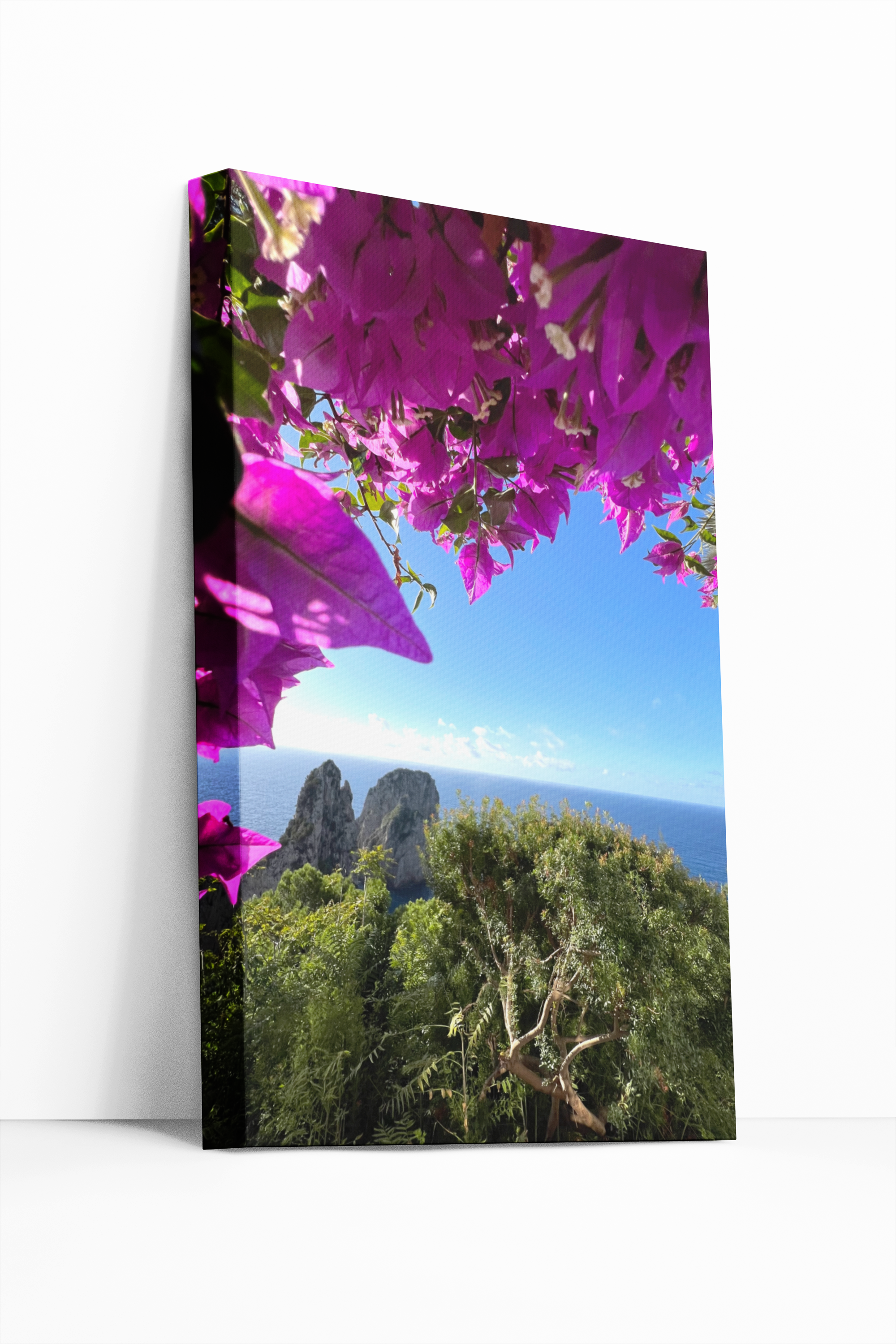 Canvas Faraglioni abbracciati dalla Bouganvillea di Capri