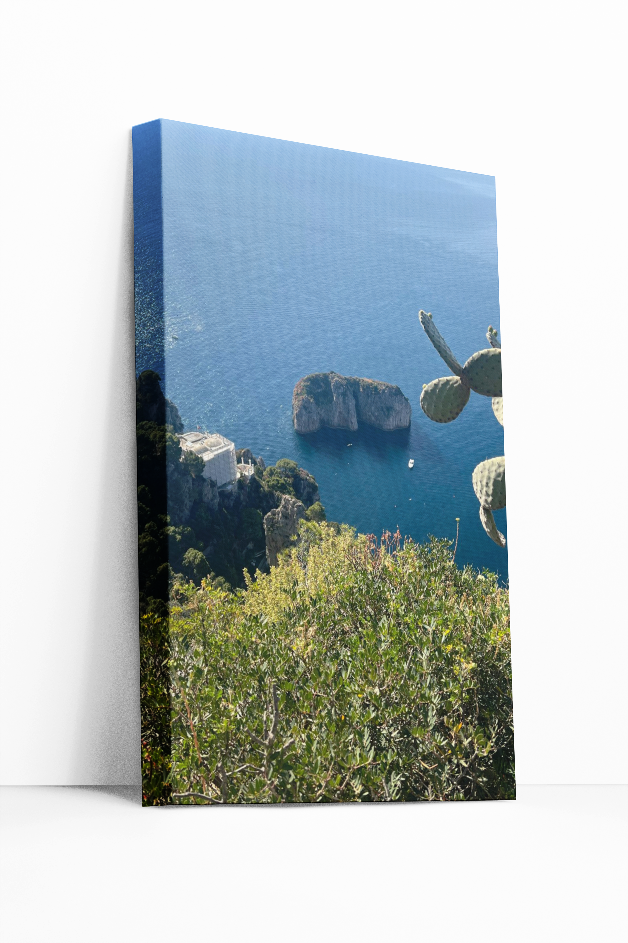 Canvas Monaco of Capri