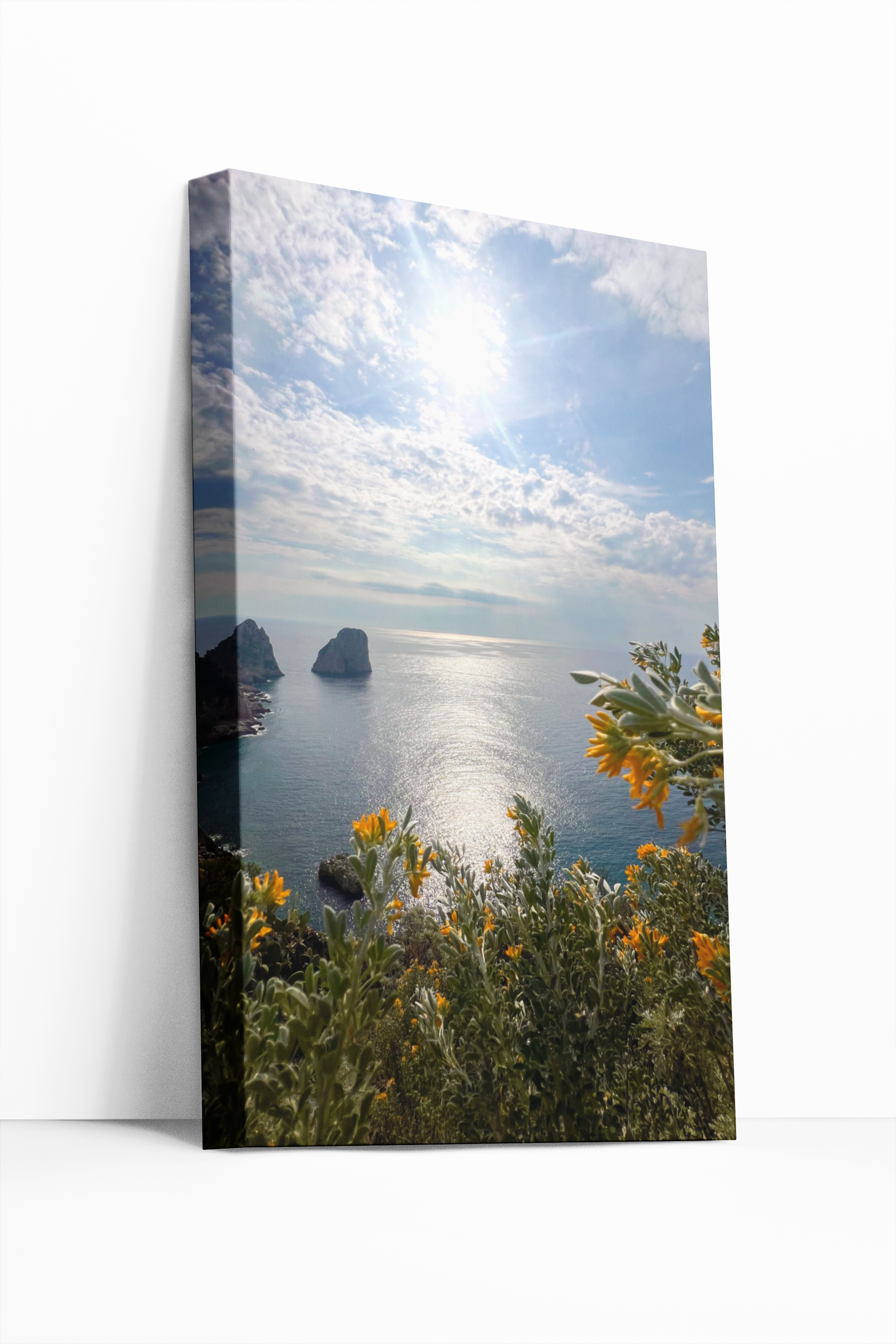 Canvas Faraglioni in Spring Bloom in Capri