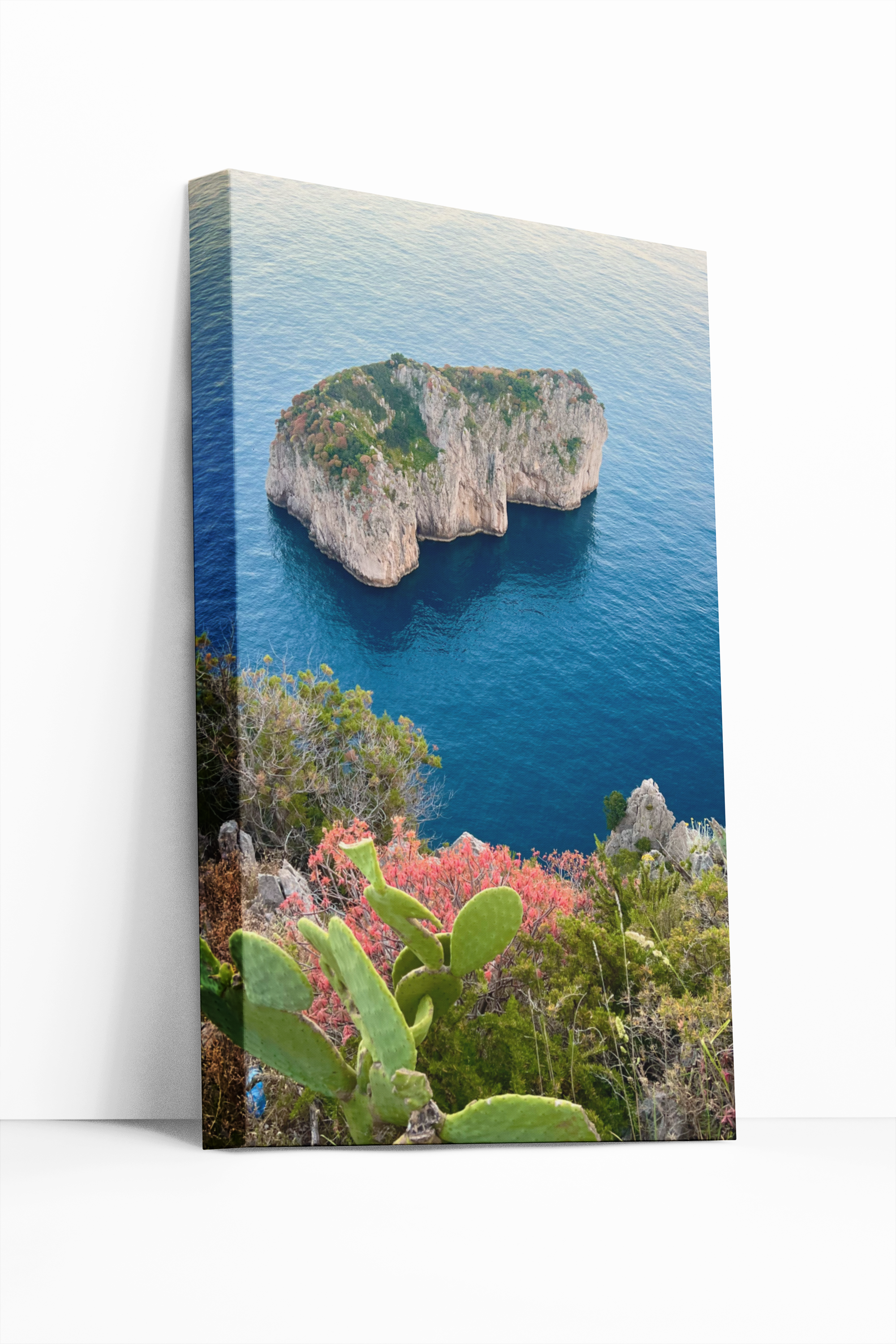 Canvas Monacone of Capri in Spring